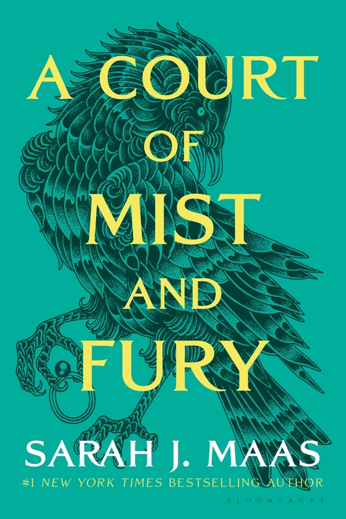 A Court of Mist and Fury (Sarah J. Maas)