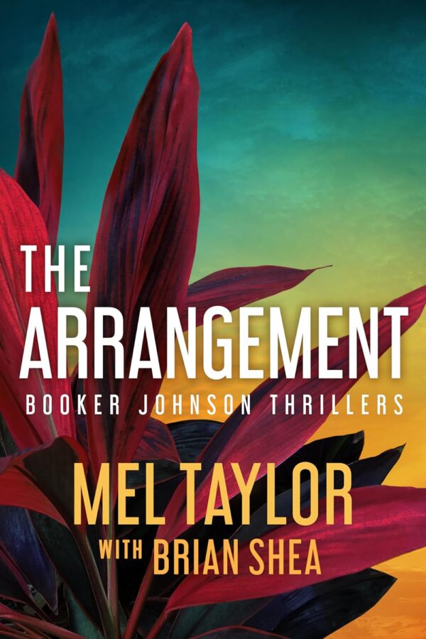 The Arrangement (Booker Johnson Thrillers, 2)