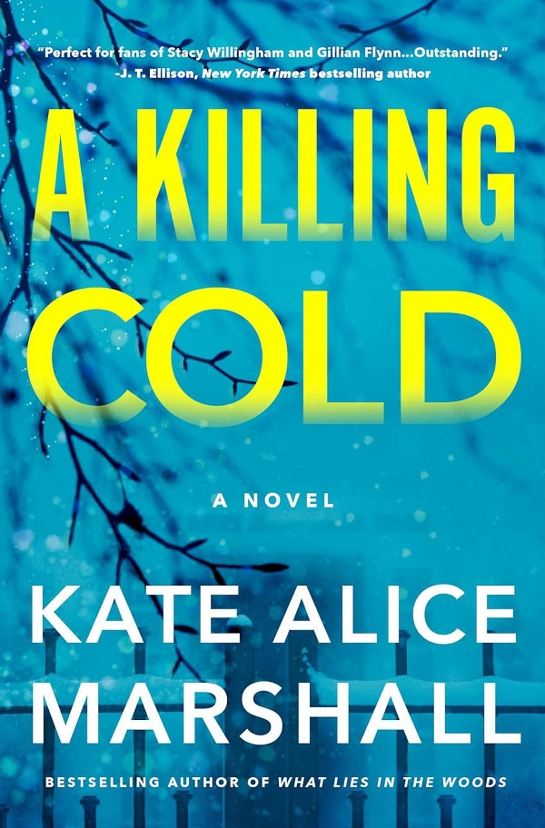 A Killing Cold: A Novel