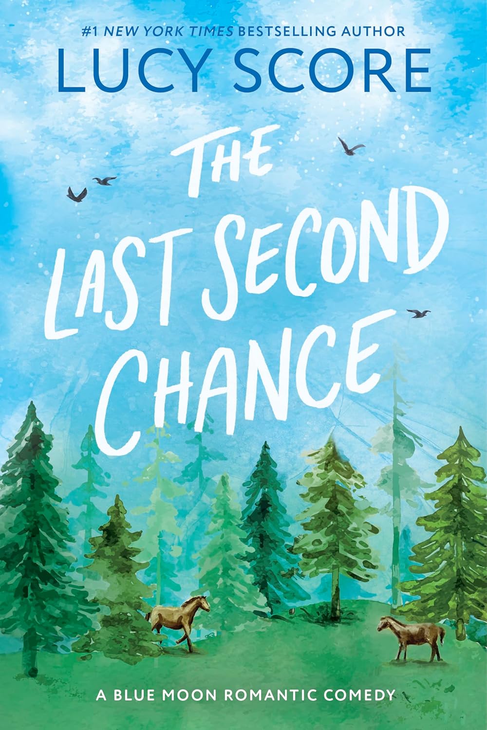 The Last Second Chance